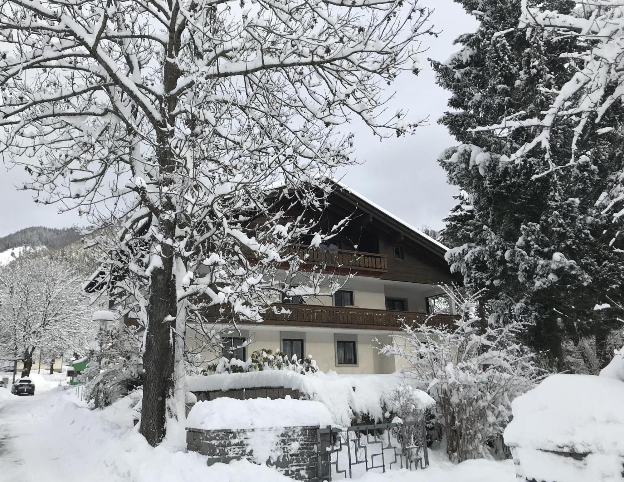 Amadee Appartements - Kaernten Card In Summer Included Bad Kleinkirchheim Exterior photo